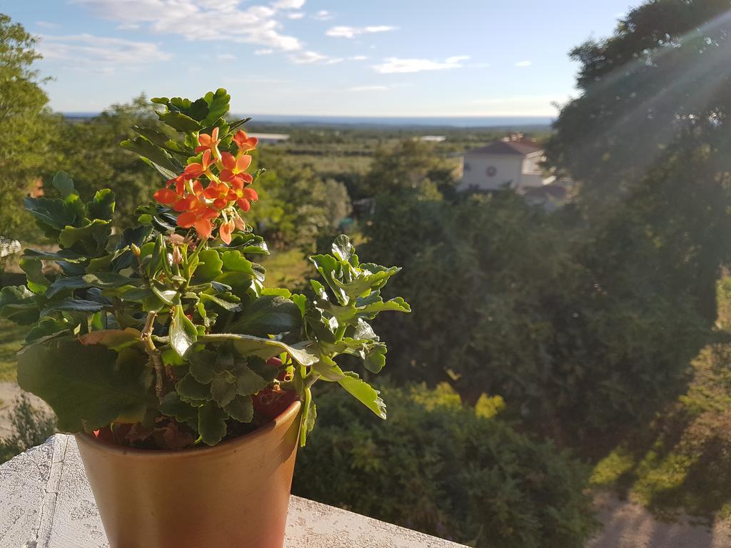 Apartman Andela Labinci Екстер'єр фото